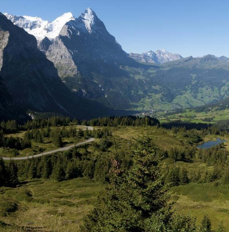 十二星座天秤男的爱情软肋在哪,你了解吗?- 易德轩吉祥物商城 十二星座天秤男的爱情软肋在哪,你了解吗?- 易德轩吉祥物商城