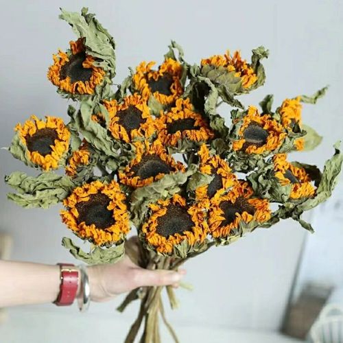 招财的干花摆设 招财干花有哪些 招财的干花摆设 招财干花有哪些