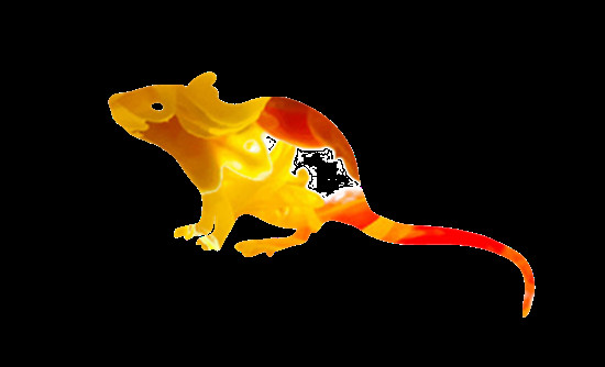 2023年哪些生肖需要加倍努力才能赢得好运 2023年哪些生肖需要加倍努力才能赢得好运