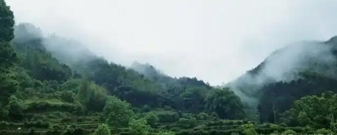 什么才是玄空风水真正的气运？