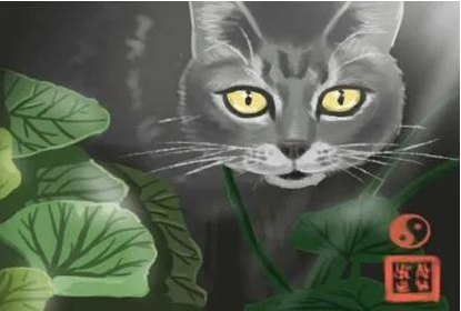 人形摆件 家里最好别放