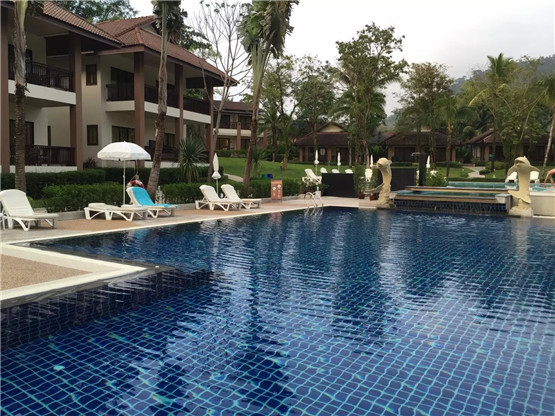 风水早知道 发财树怎么摆招财-易德轩吉祥商城