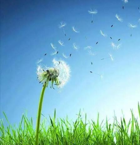 八字2026丙午年展望，喜火的人真的要一飞冲天了吗？