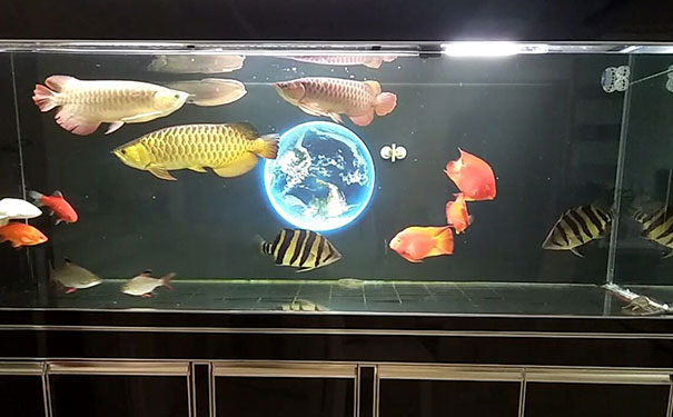 人没财运气怎么化解-易德轩吉祥商城 人没财运气怎么化解-易德轩吉祥商城