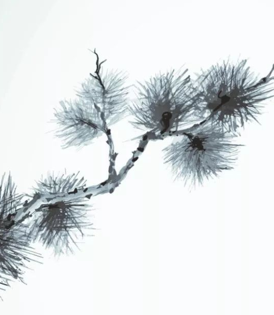 破坏家居风水的摆件