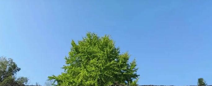 轻松读懂天干地支五行属性理论，你学会了吗？