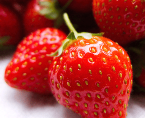 卧室吉祥物摆放 家居风水布局