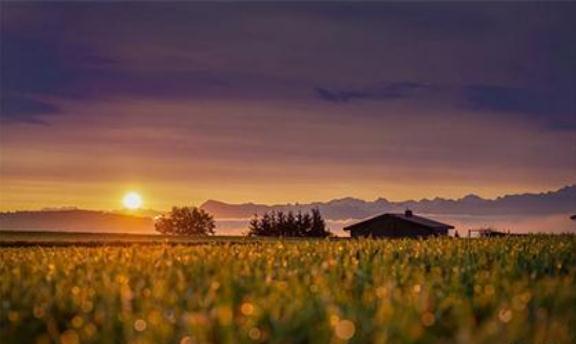 平原区如何分金定穴？关键找寻平洋龙