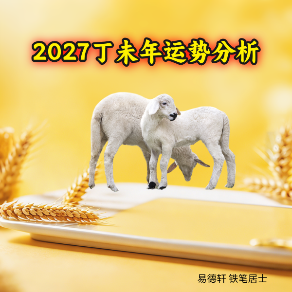 2027丁未年是什么年份，生肖羊是什么年？