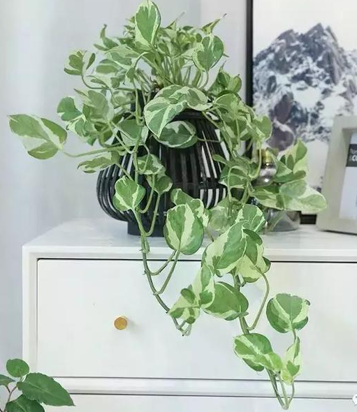 玄关不适合放的摆件：镜子和钟表