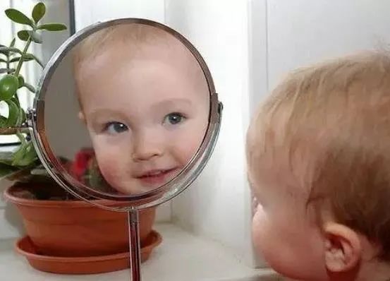镜子使用技巧：您是否正确使用它？