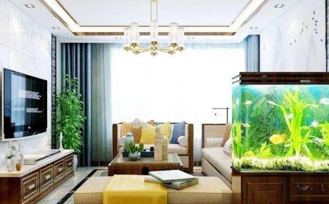 想要养鱼的朋友们注意了,这里告诉你怎么养鱼才能让自己运旺?-易德轩吉祥网 想要养鱼的朋友们注意了,这里告诉你怎么养鱼才能让自己运旺?-易德轩吉祥网