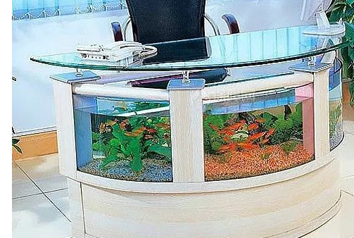 鱼缸给办公室带来的招财风水 鱼缸给办公室带来的招财风水