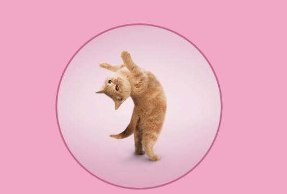 十二生肖的三合六合 十二生肖的三合六合