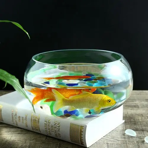 什么摆件可以祛除煞气