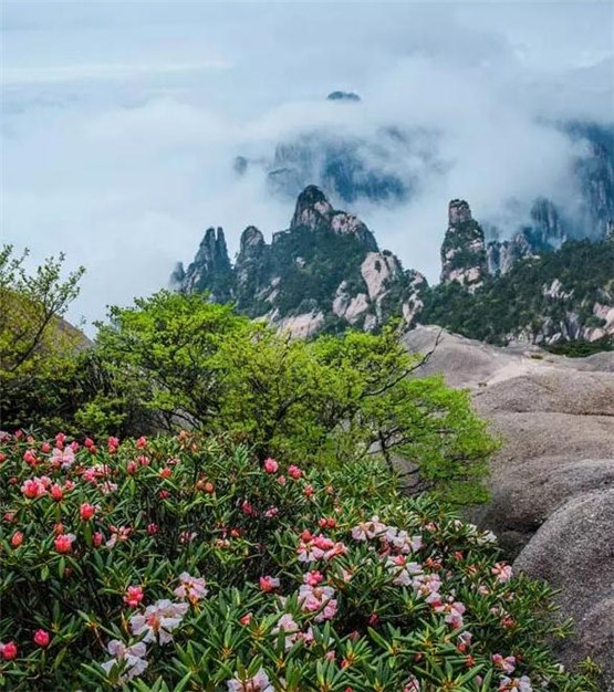 风水要决:阴宅得水可以救贫,阳宅得水可发富发贵-易德轩吉祥网 风水要决:阴宅得水可以救贫,阳宅得水可发富发贵-易德轩吉祥网