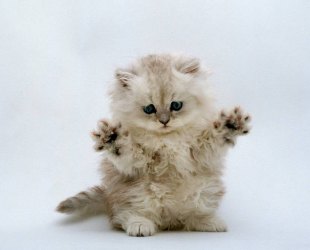 大门为家宅风水第一重要因素 大门为家宅风水第一重要因素