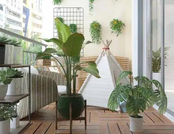 催财良方:花草植物的神奇力量! 催财良方:花草植物的神奇力量!